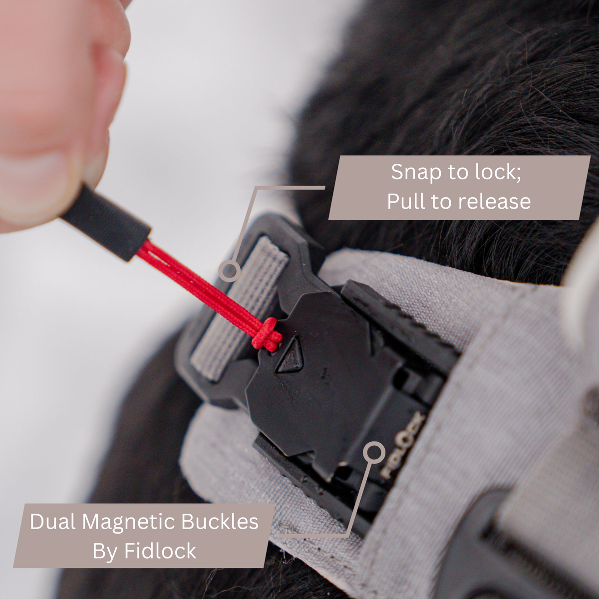 Magnetic Easy-On Dog Harness with Handle