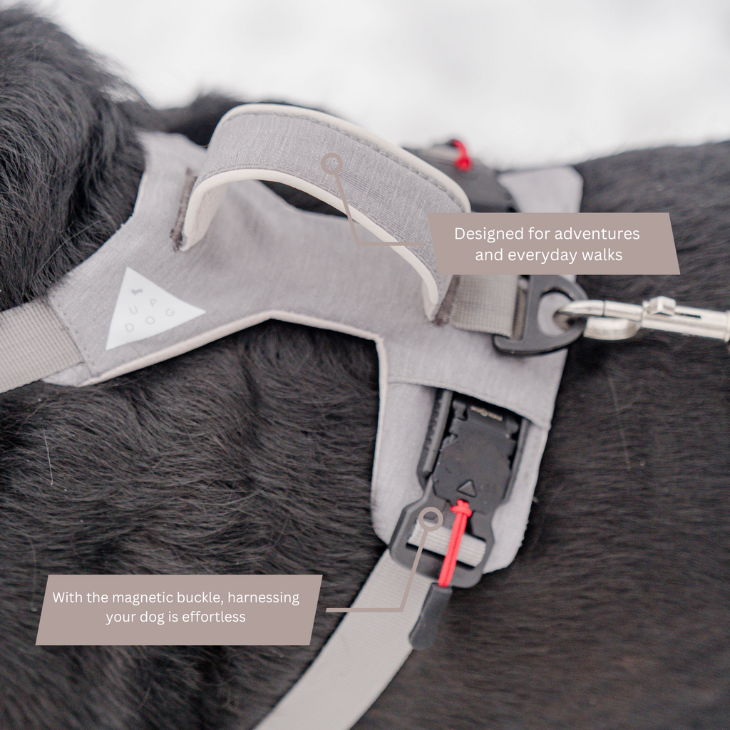 Magnetic Easy-On Dog Harness with Handle