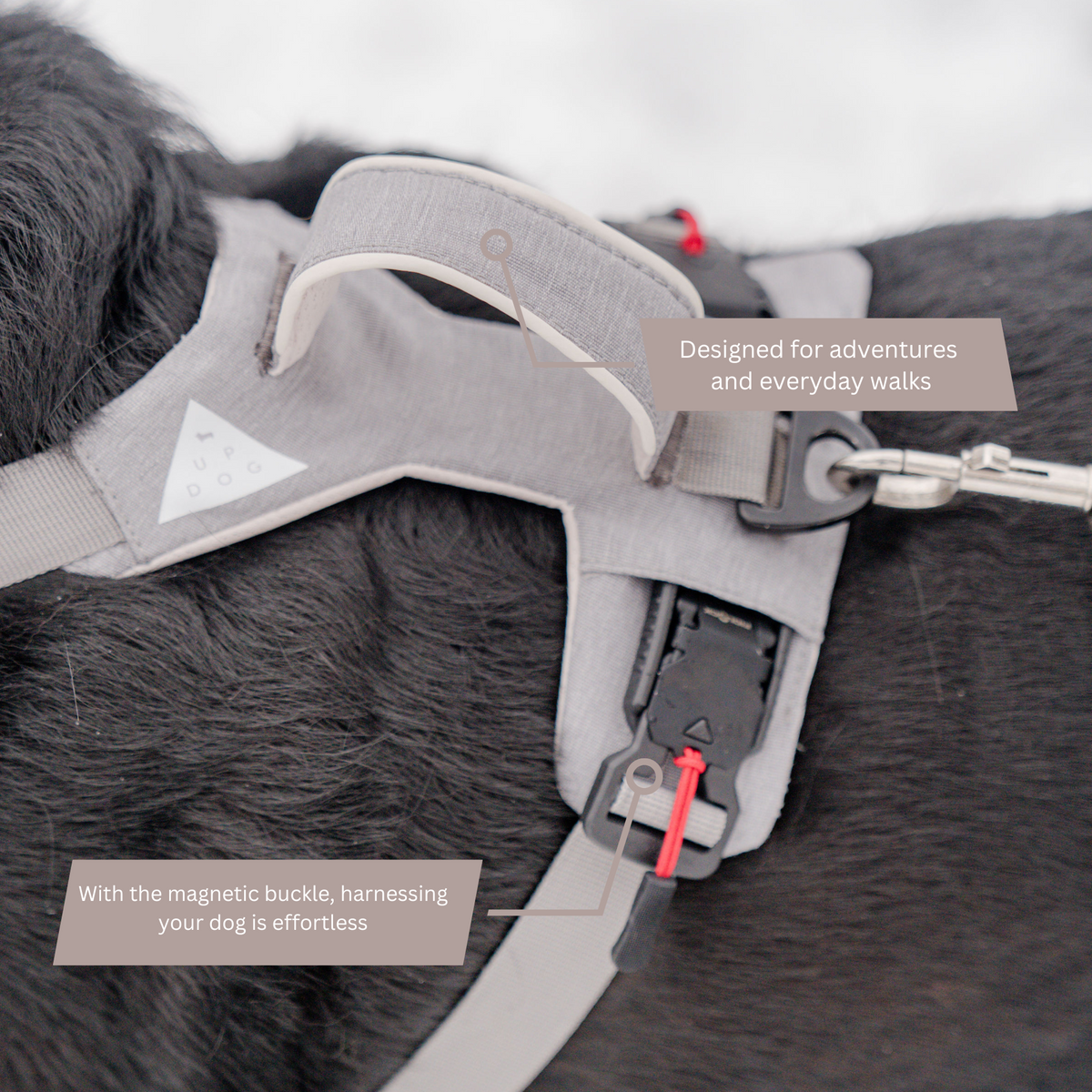 Magnetic Easy-On Dog Harness with Handle