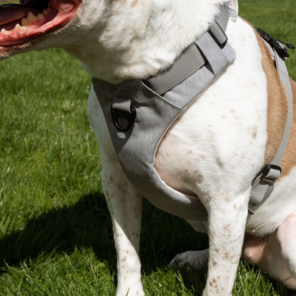 Magnetic Easy-On Dog Harness with Handle