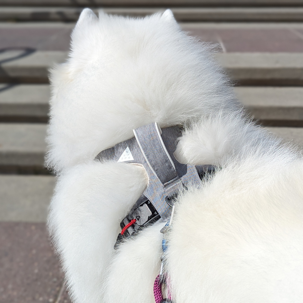 Magnetic Easy-On Dog Harness with Handle