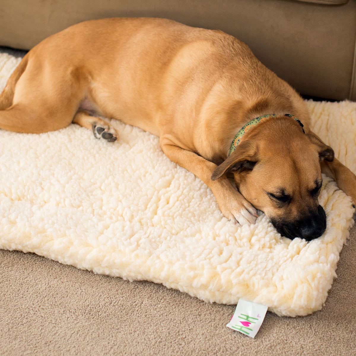 HuggleFleece® Washable Dog Mat