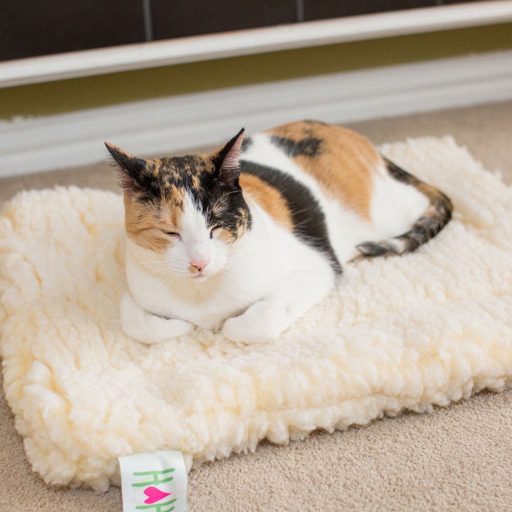 HuggleFleece® Washable Dog Mat