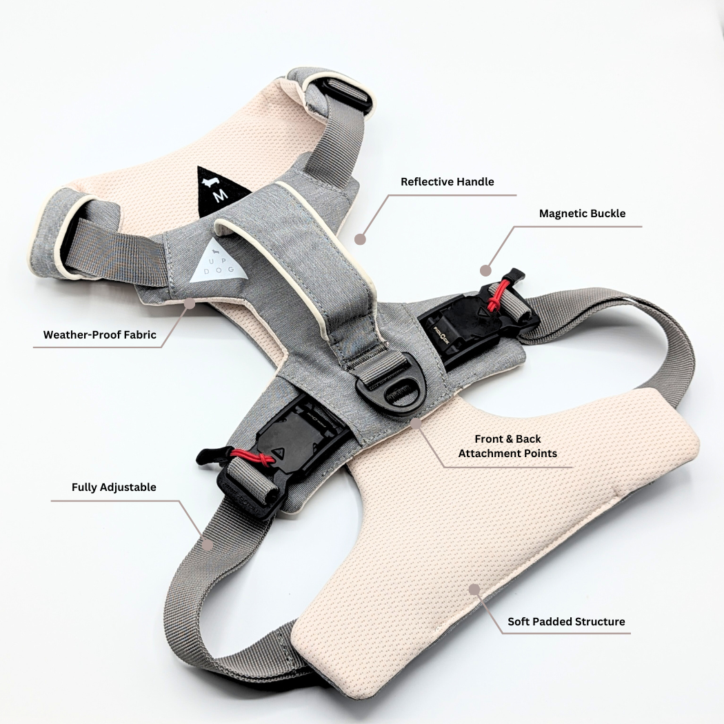 Magnetic Easy-On Dog Harness with Handle