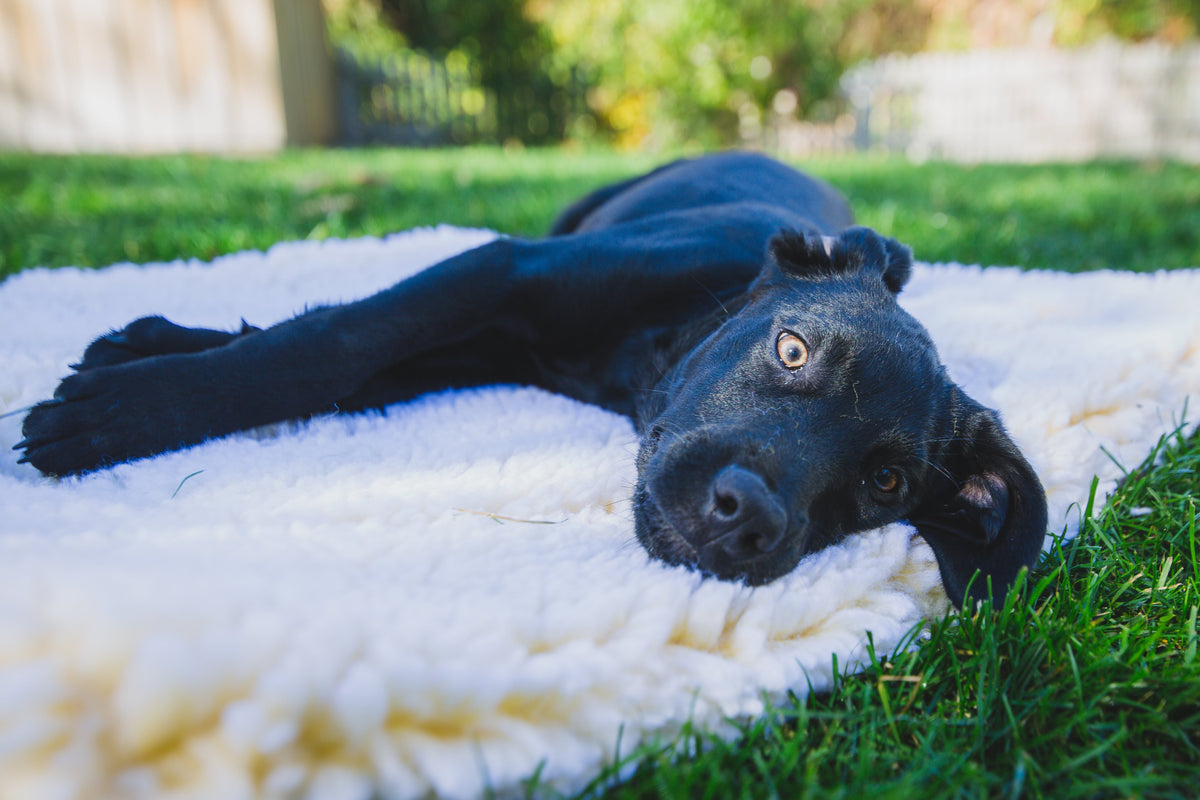HuggleFleece® Washable Dog Mat