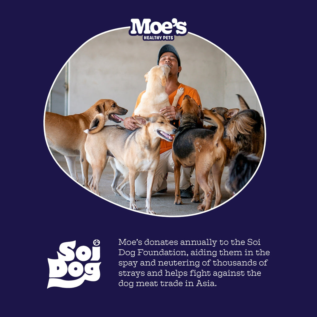 Moe's Hip & Joint Chews for Dogs