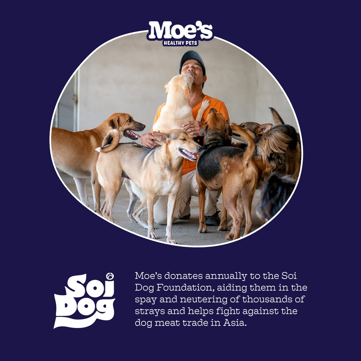 Moe's Hip & Joint Chews for Dogs