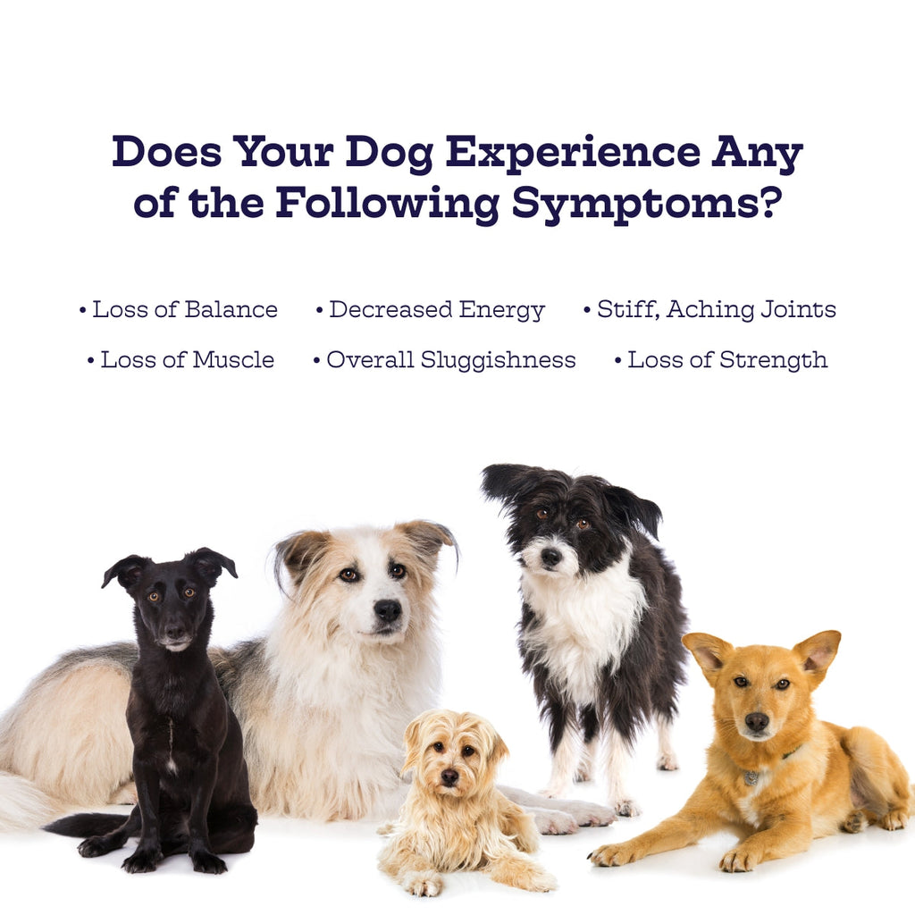 Moe's Hip & Joint Chews for Dogs