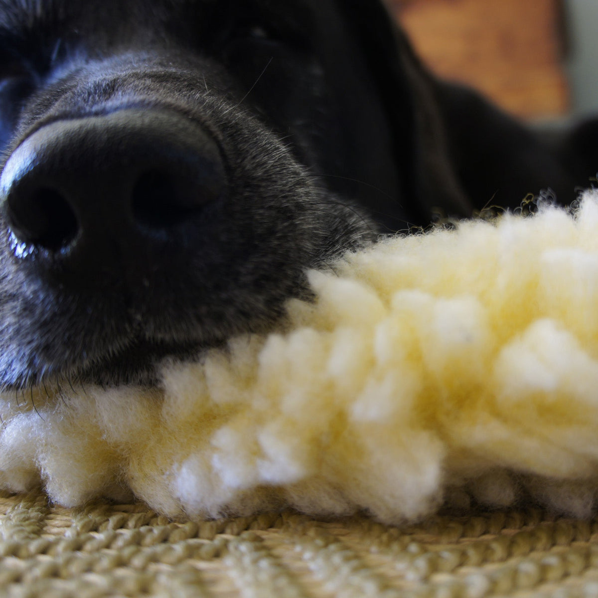 HuggleFleece® Washable Dog Mat